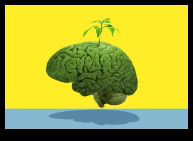 Divertisment ecologic: creșterea produselor video eficiente din punct de vedere energetic